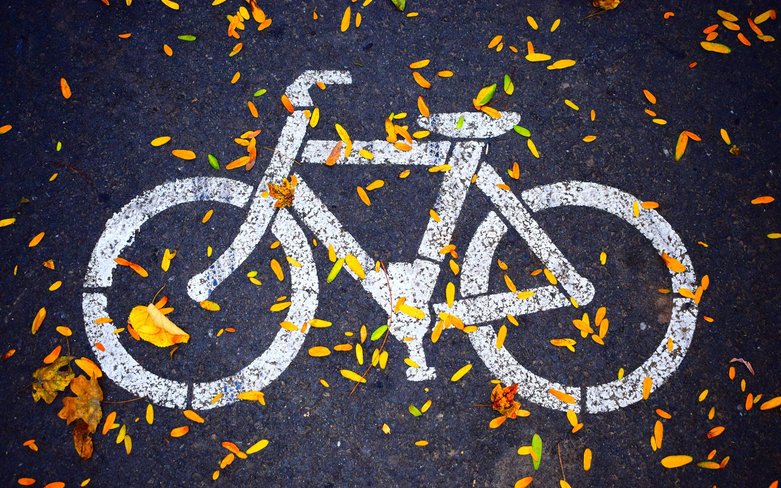 Download wallpaper bicycle, sign, autumn, bicycle path for desktop with resolution 2560x1600. High Quality HD picture wallpaper