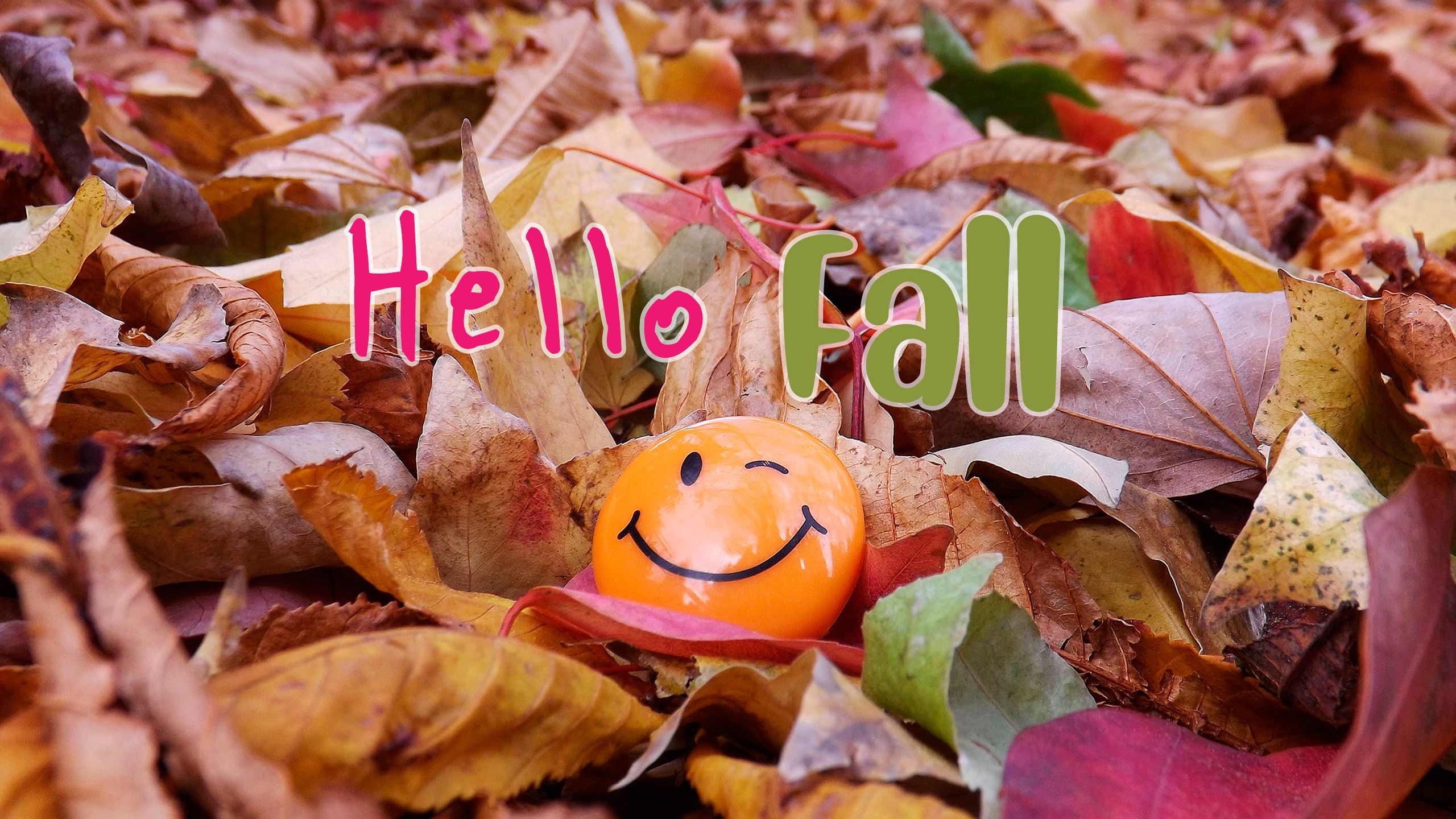Cute new Hello Fall image