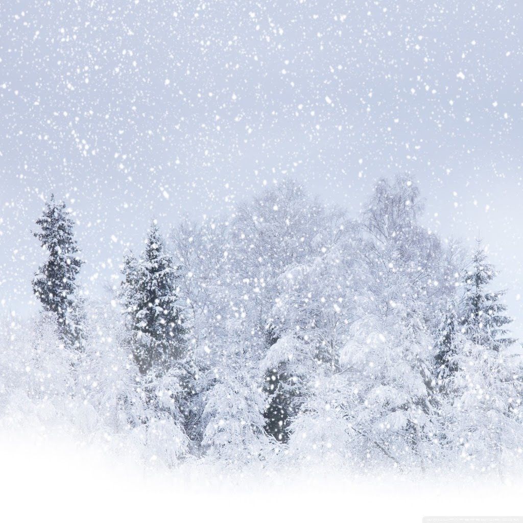 A Snow Storm With Heavy Snow Coming Down. Snowfall wallpaper, Snow blizzard, Nature wallpaper