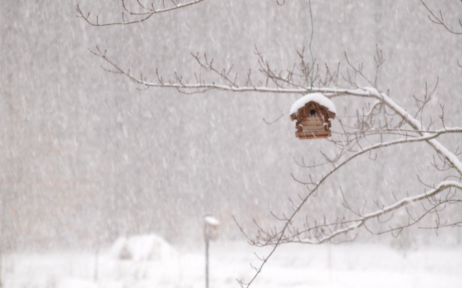 Winter storm house snow birds wallpaperx1200