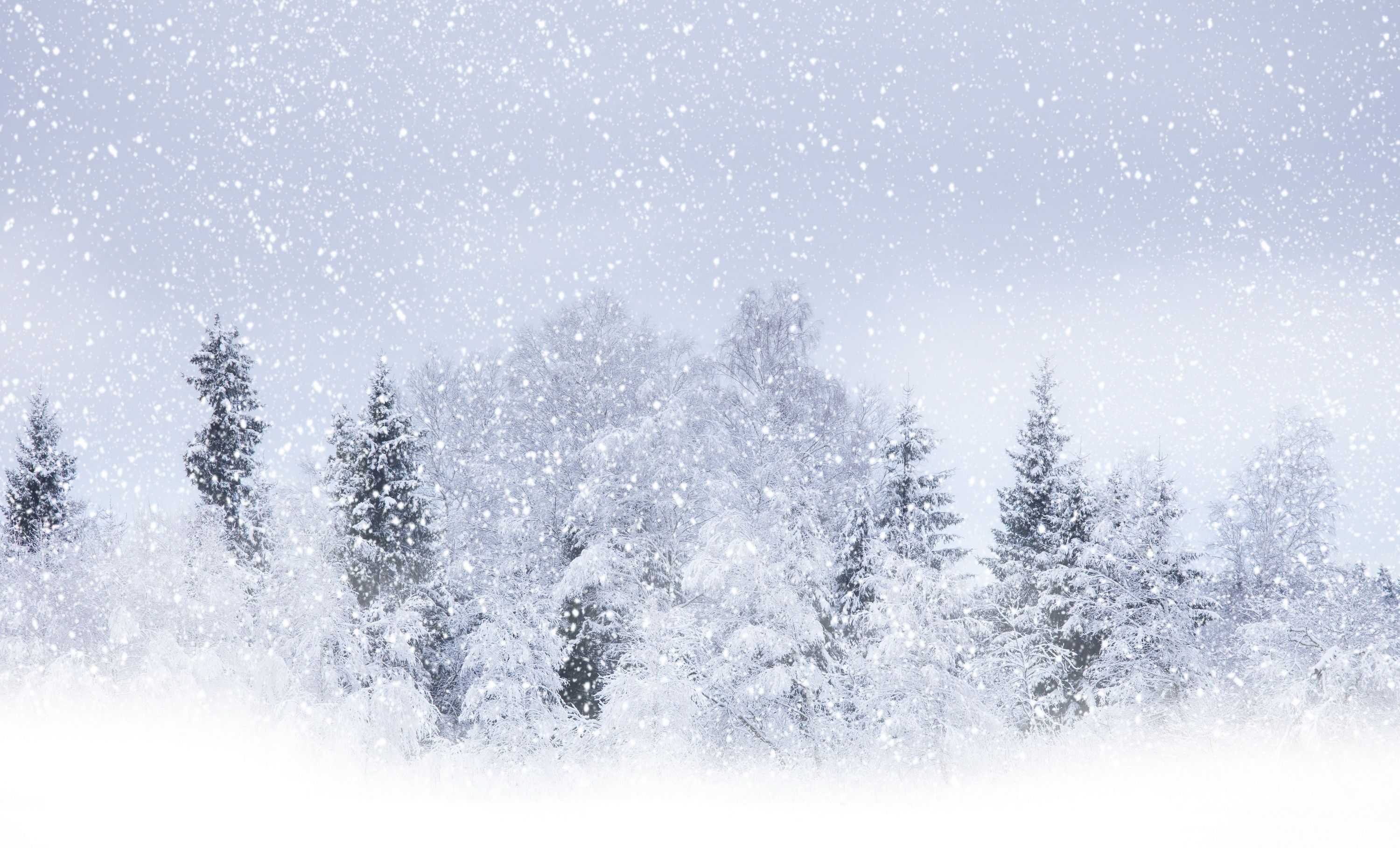 Winter Blizzard Wallpaper