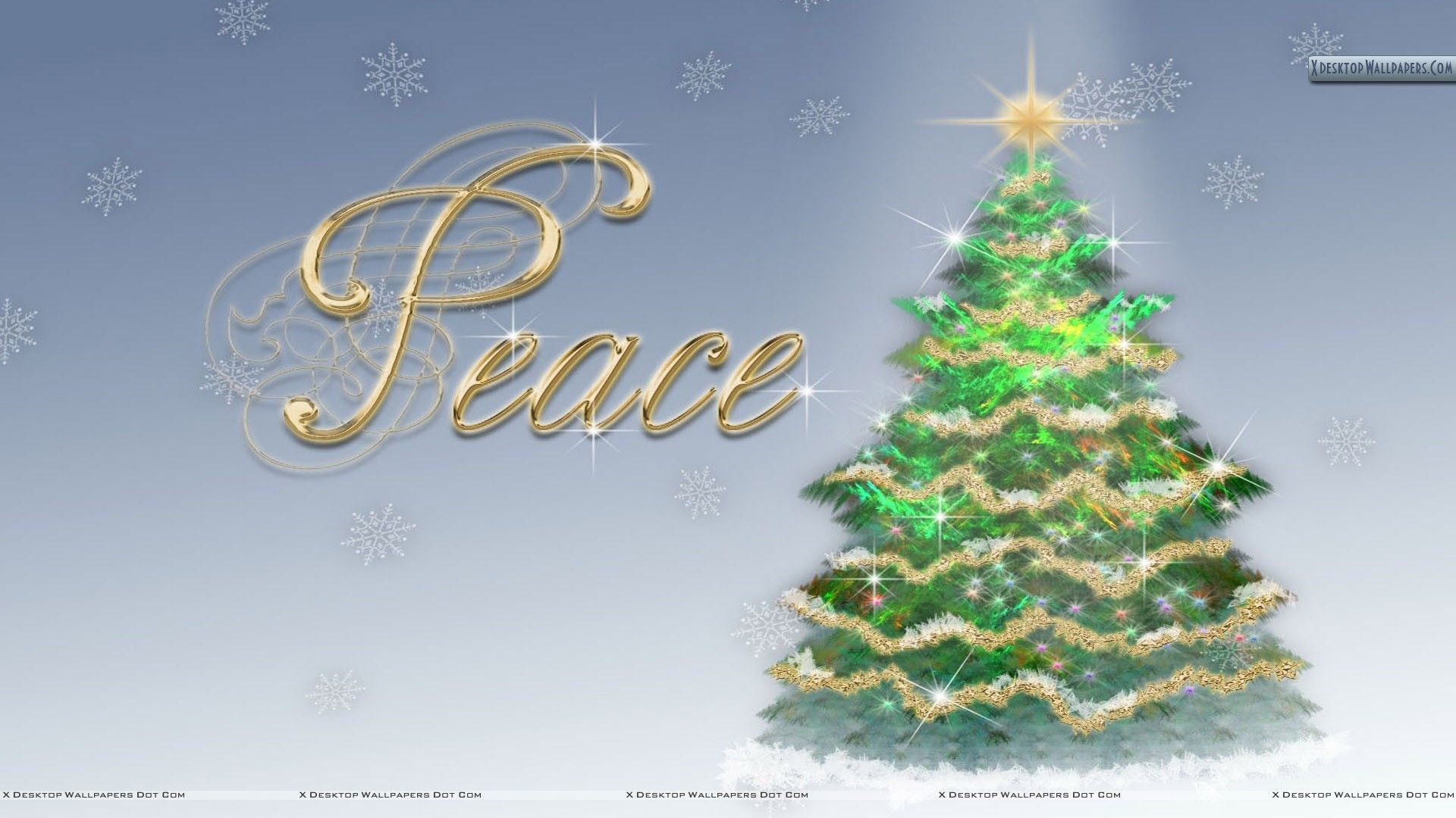 Lighted Christmas Tree Wallpaper