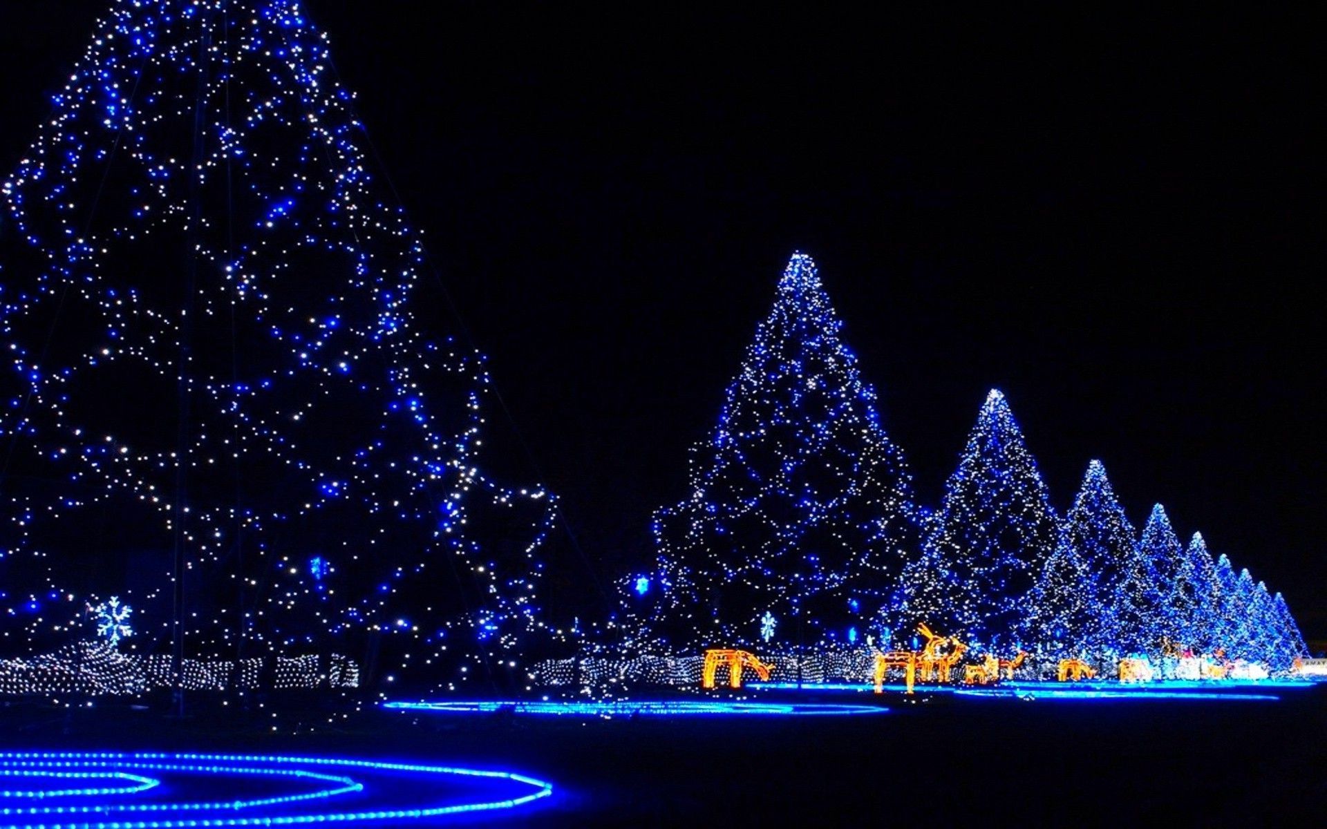 Free download 21 Christmas Tree Wallpaper Merry Christmas [1920x1200] for your Desktop, Mobile & Tablet. Explore Christmas Tree Wallpaper. Christmas Wallpaper For Desktop, Free Christmas Wallpaper, Christmas Wallpaper Background