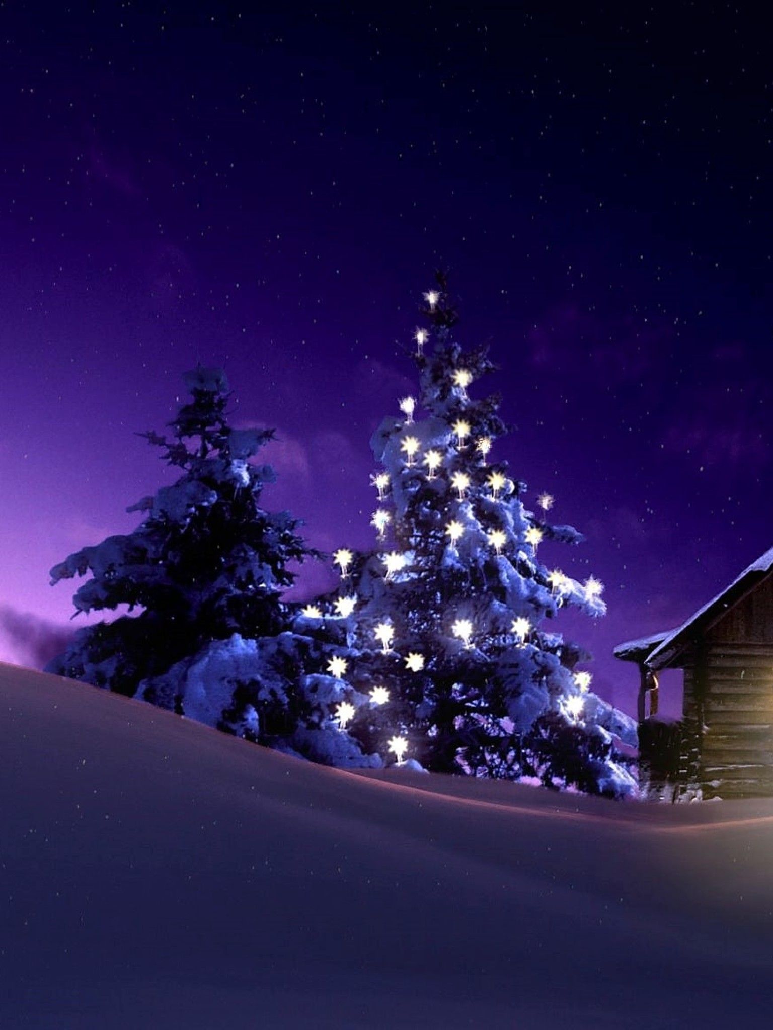 Christmas Lighted Tree Outside Winter Cabin 1536x2048 Resolution Wallpaper, HD Holidays 4K Wallpaper, Image, Photo and Background