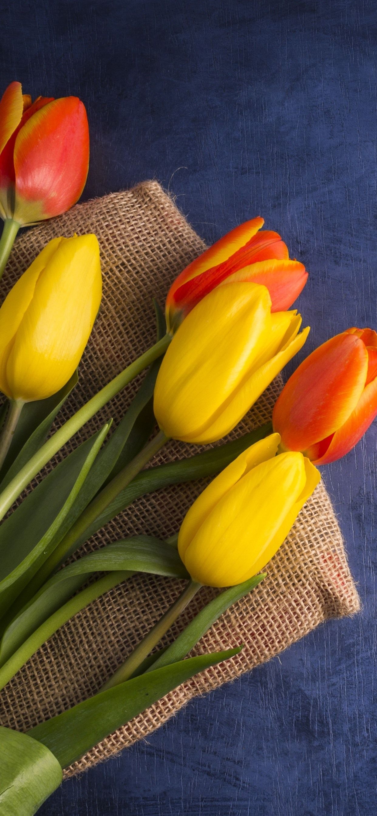 Yellow And Orange Tulips, Bouquet 1242x2688 IPhone 11 Pro XS Max Wallpaper, Background, Picture, Image