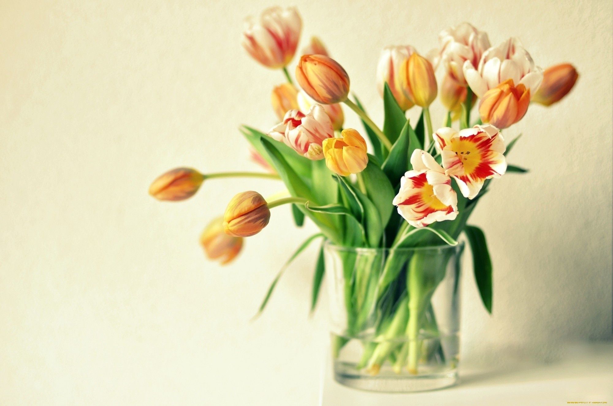 vase, Tulips, Orange, Flowers, Bouquet Wallpaper HD / Desktop and Mobile Background