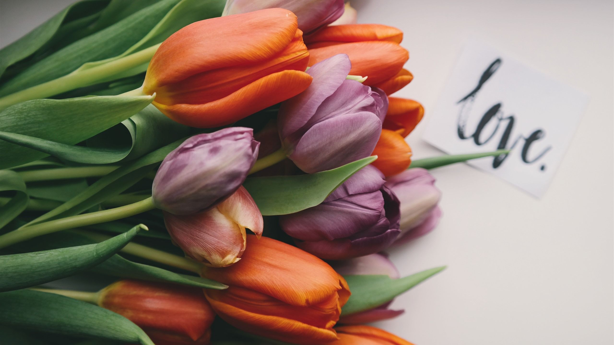 Wallpaper Purple and orange tulips, bouquet 5120x2880 UHD 5K Picture, Image