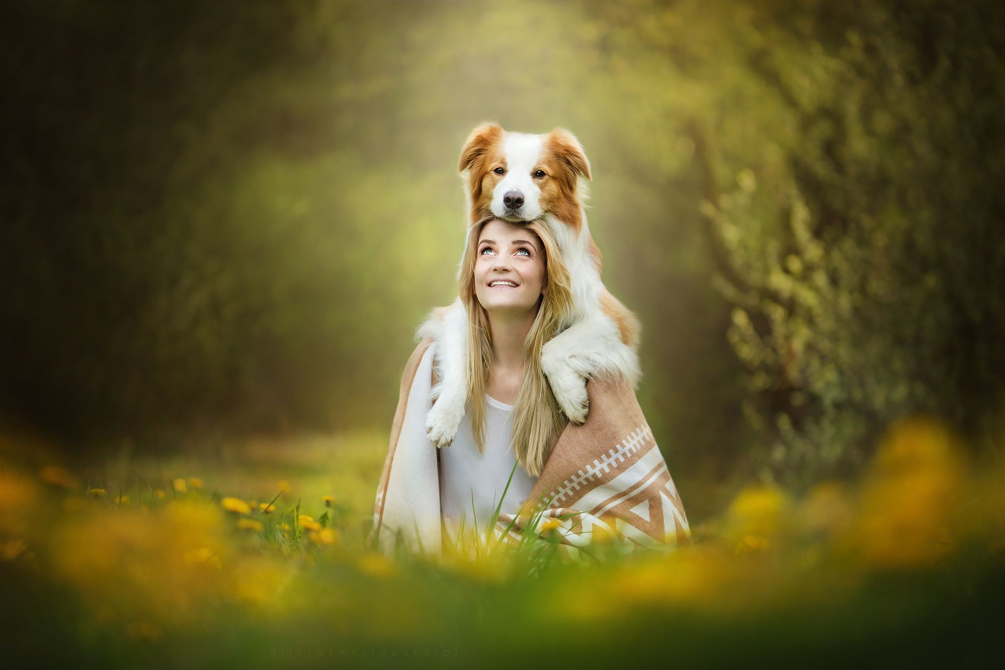 Cute Girl With Dog, HD Animals, 4k Wallpaper, Image, Background, Photo and Picture