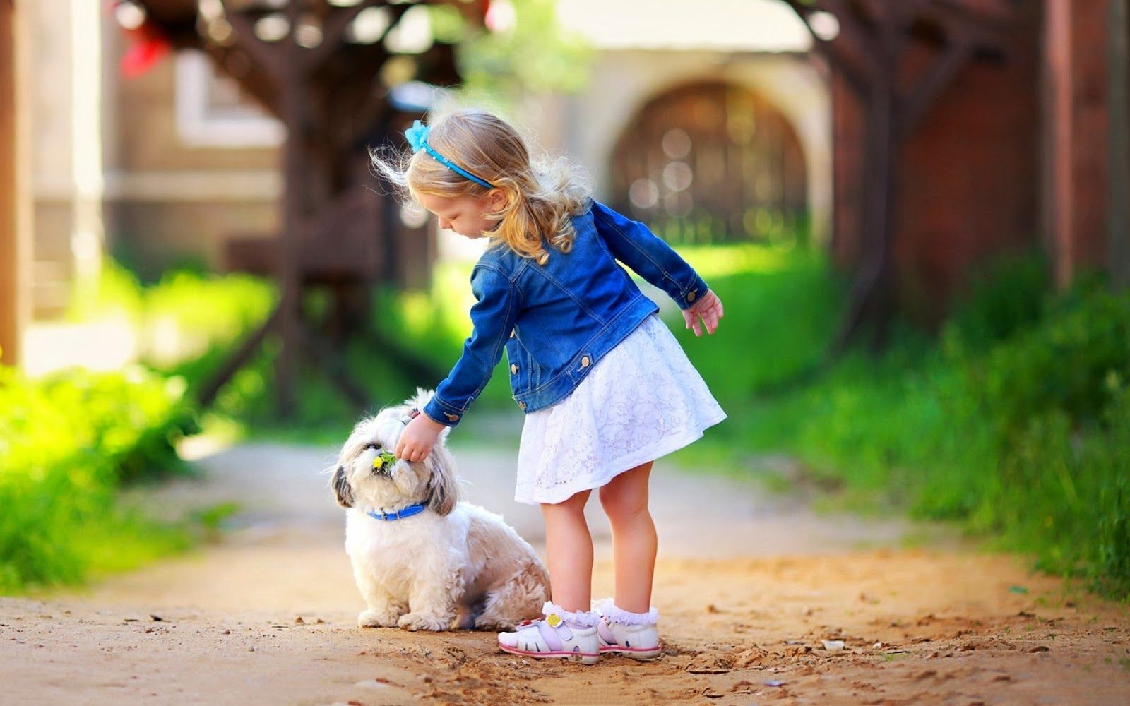 Cute Little Girl Play White Dog