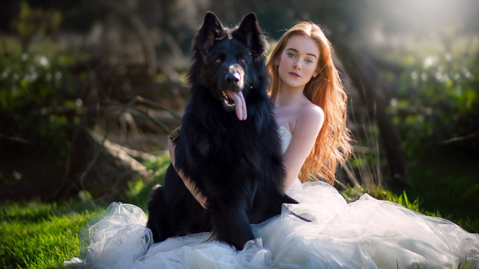 Beautiful bride girl with big black dog Desktop wallpaper 1600x900