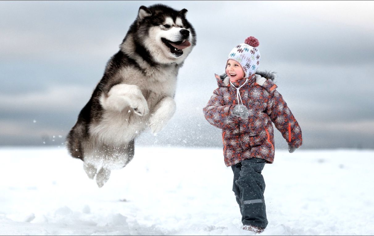 Girl And Dog Wallpaper Kids