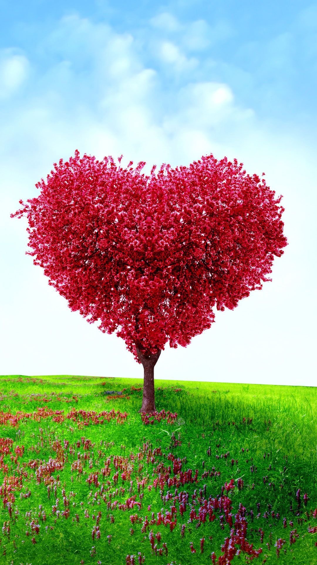 Heart Shaped Tree Valentines Day Love. Android Wallpaper. Valentines wallpaper, HD wallpaper android, Android wallpaper