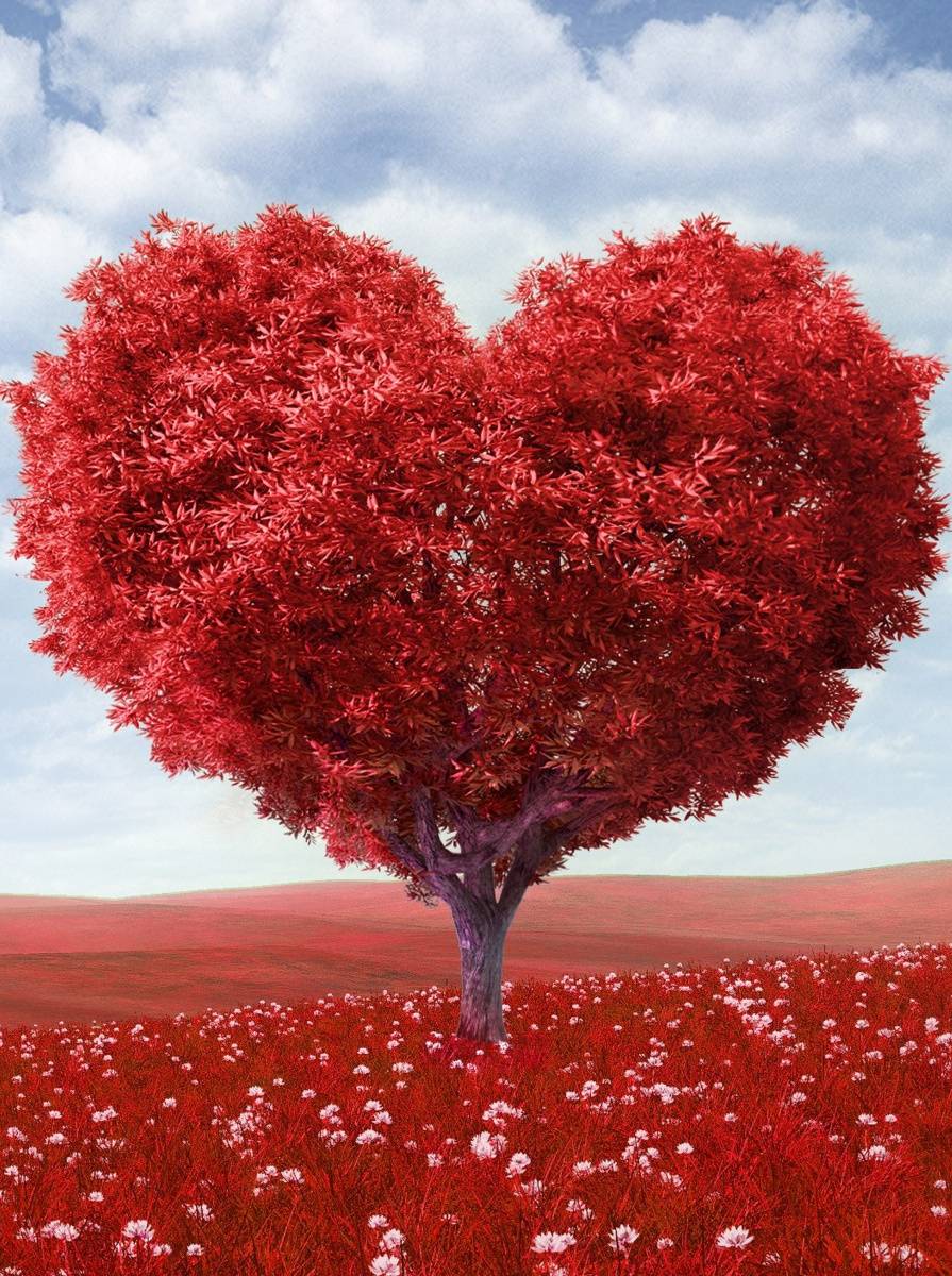 Heart Tree HD wallpaper