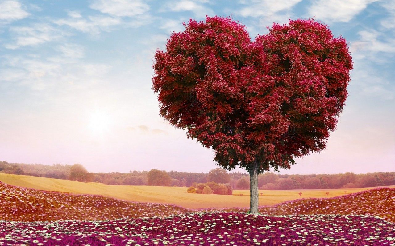 Beautiful Red Heart Tree wallpaper. Beautiful Red Heart Tree
