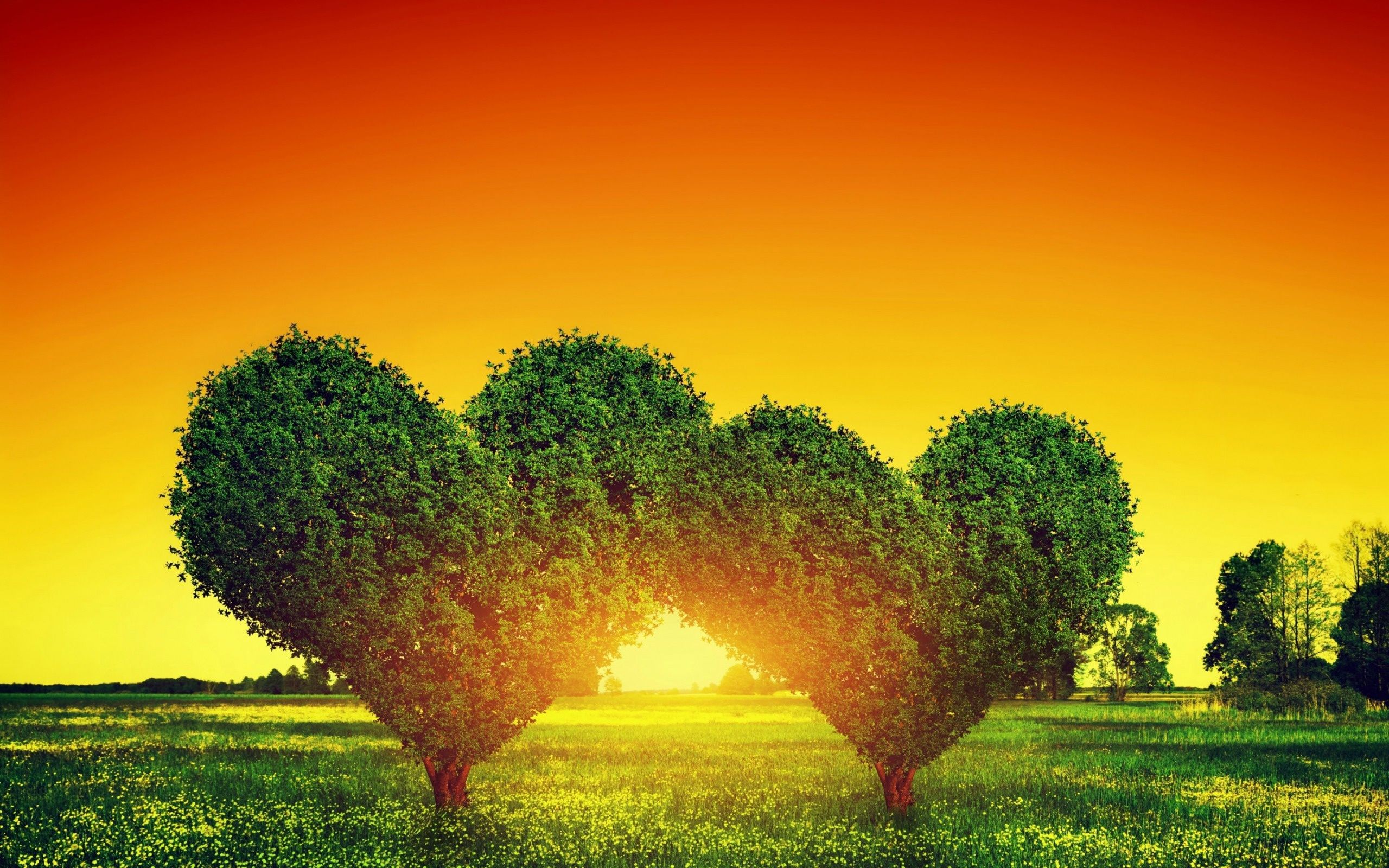 Sunset Heart Tree Wallpaper