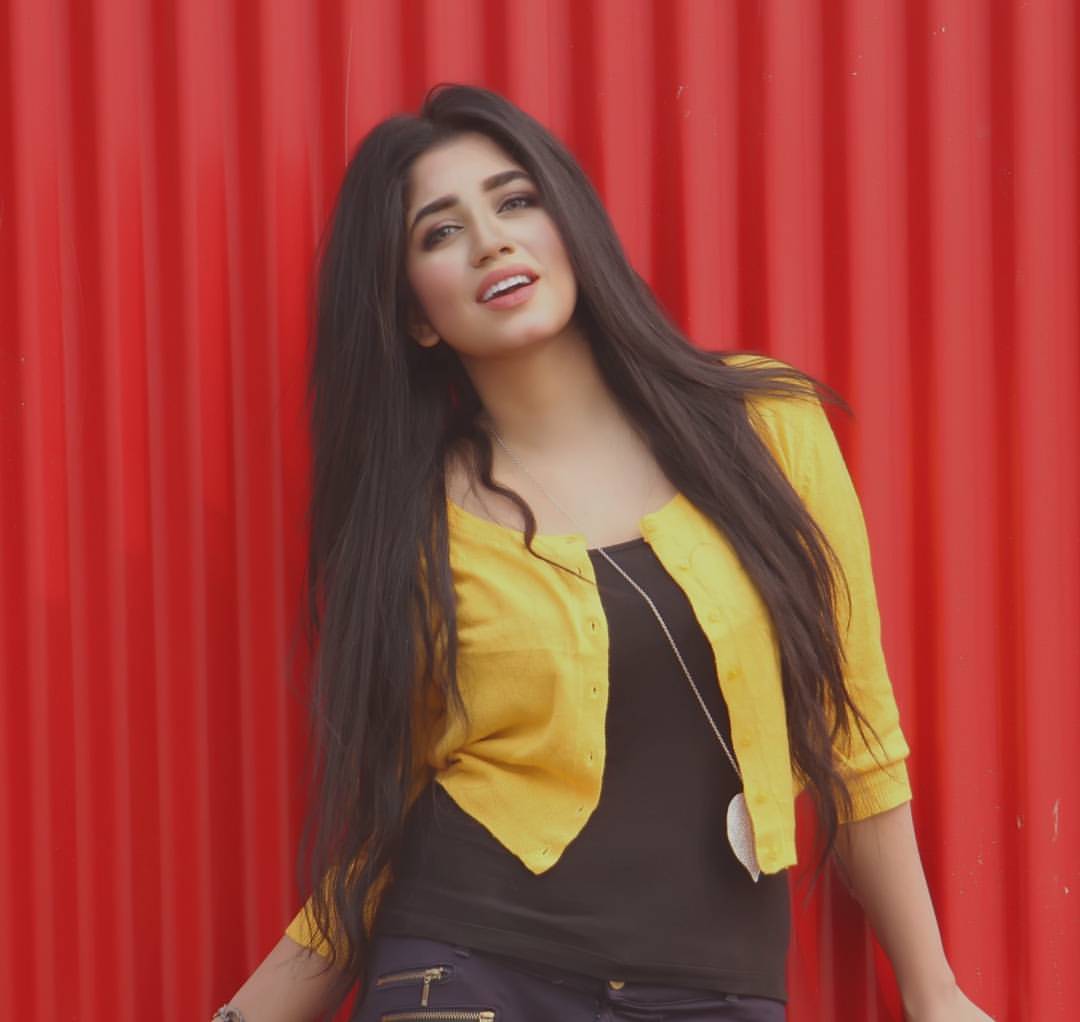 Shahtaj Monira Hashem Biography, Wiki, Age, Image, Hot Photo, Gallery, Painting, Videos News 24