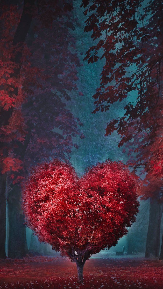 QHD Wallpaper By: enriquelopezgarre #DownloadTheApp #heart #tree #love #red #blue #forest #photooftheday #beautiful #wonderful #amazing #awesome #QHDWallpaper #HDWallpaper #wallpaper #Download