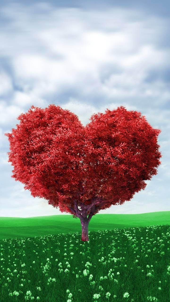 Download tree heart Wallpaper by dathys now. Browse millions of popular amour Wallpa. Papel de parede de coração, Papeis de parede paisagens