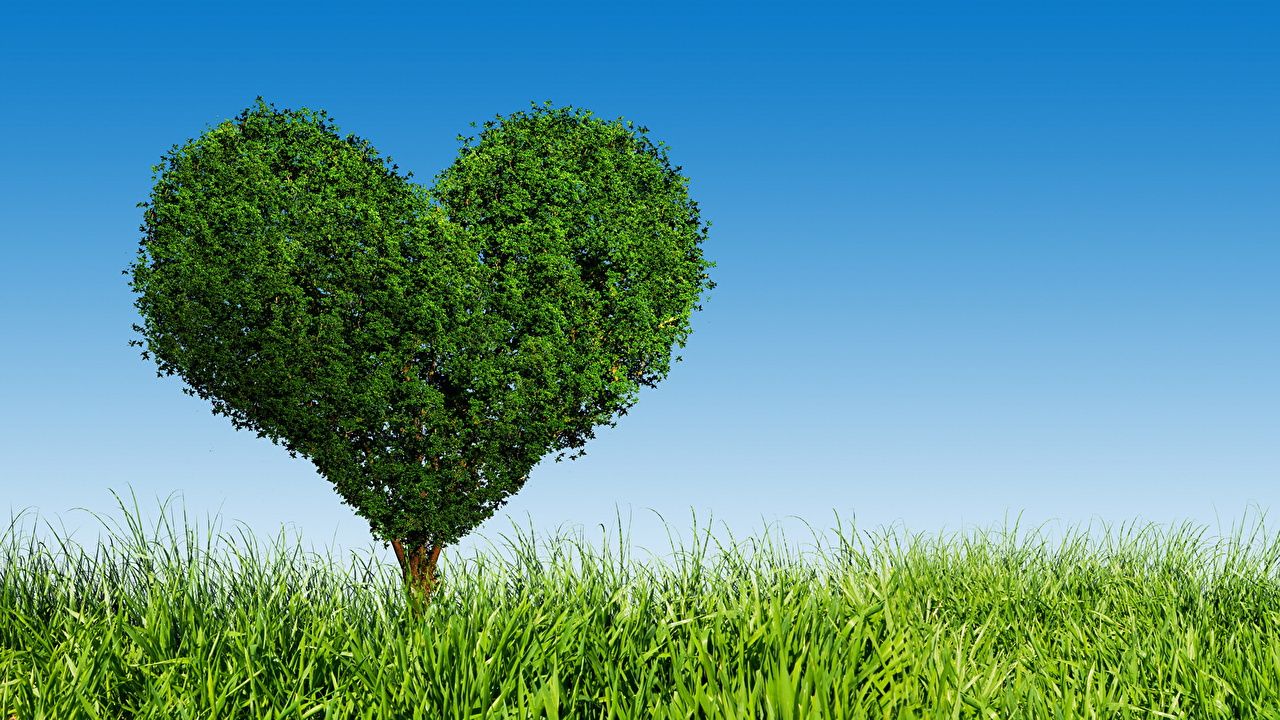 Desktop Wallpaper Heart Nature Grass Trees