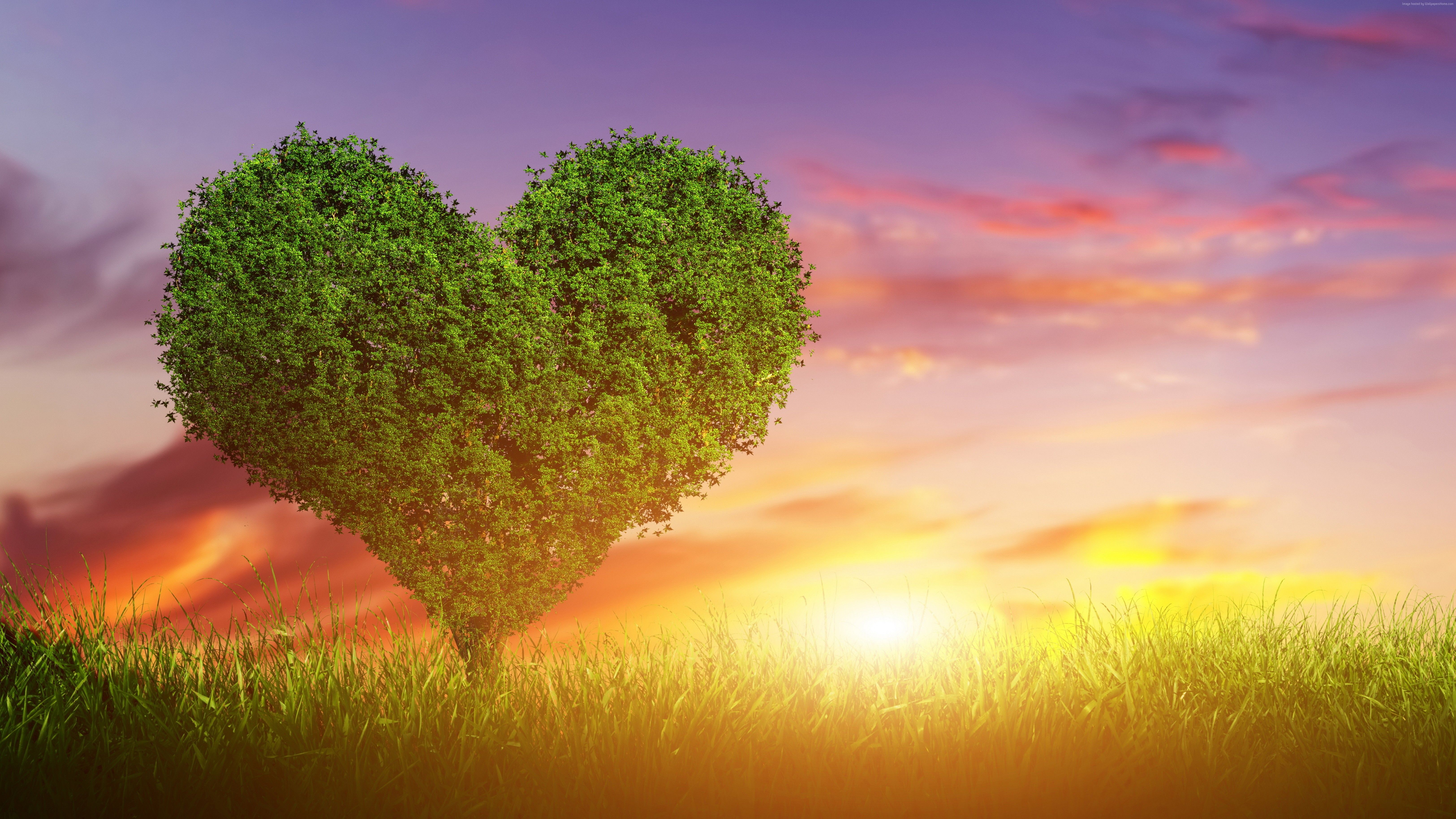 #love image, #heart, K, #tree