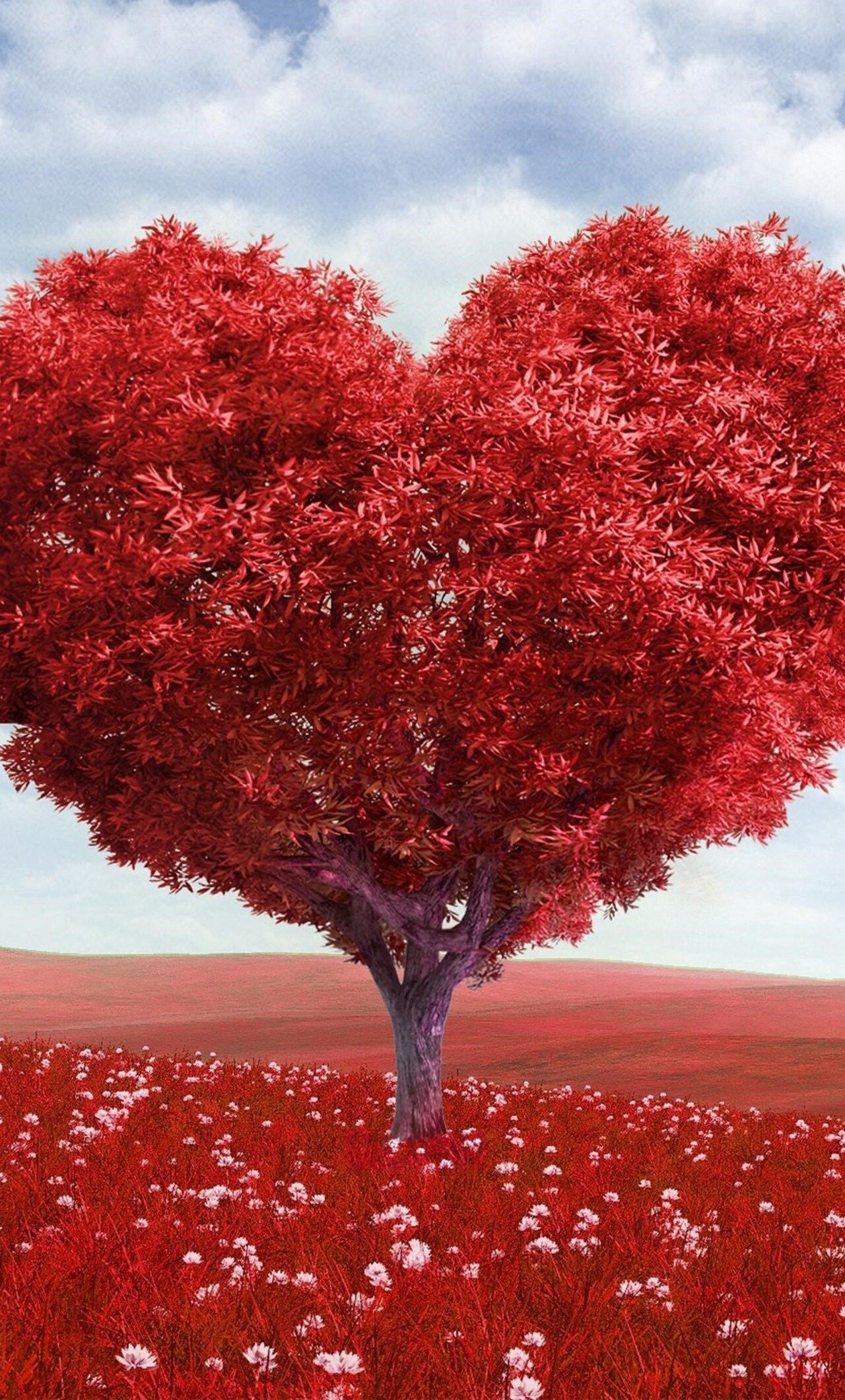Heart Tree iPhone HD 4k Wallpaper, Image, Background, Photo and Picture