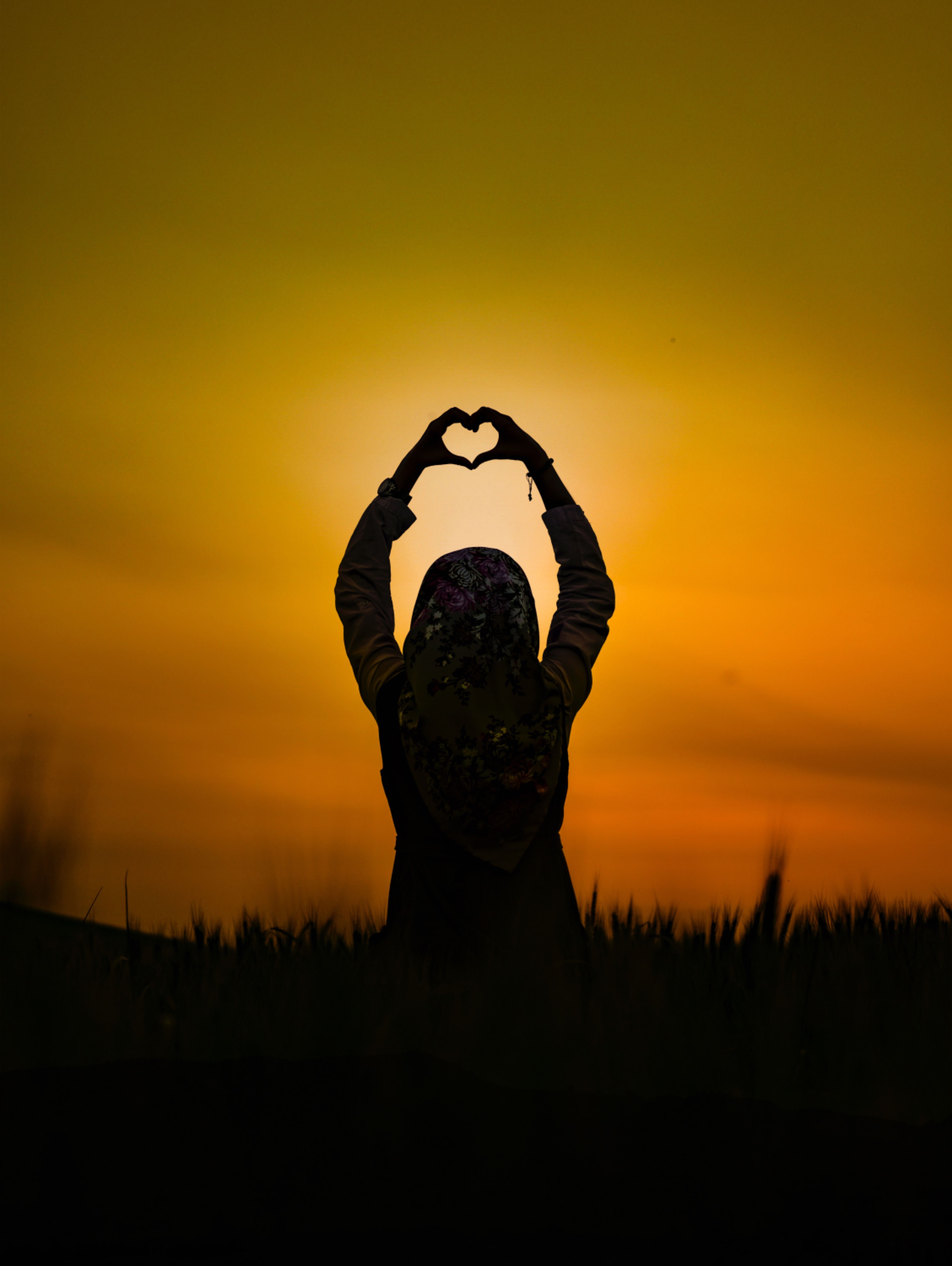 Download wallpaper 4776x6349 silhouette, heart, sunset, girl HD background