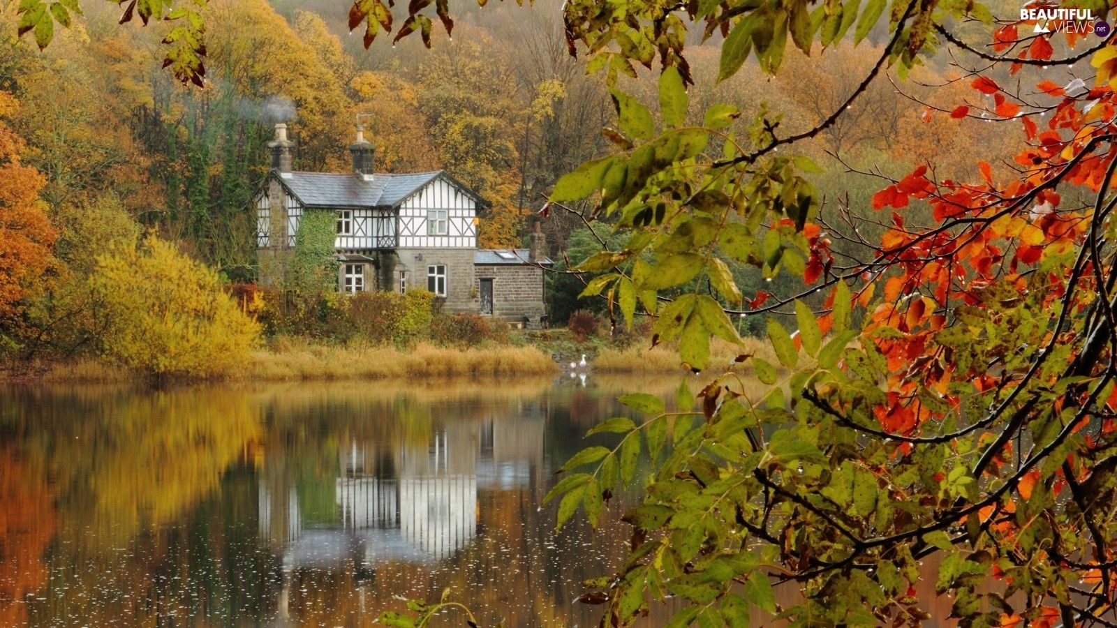 autumn, house, lake, woods views wallpaper: 1920x1200