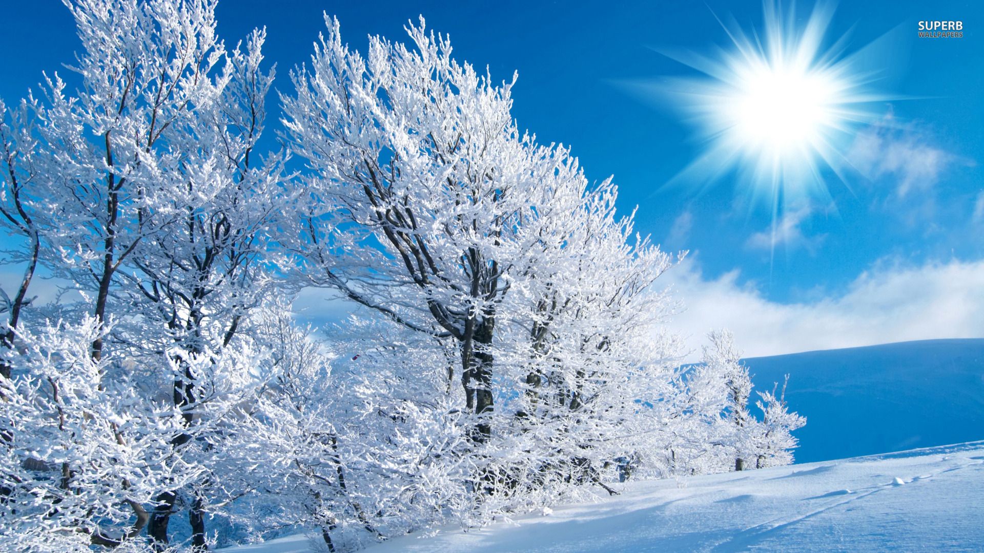 Winter Wide Wallpaper 1920×1080. HD Wallpaper, HD Background, Tumblr Background, Image, Picture