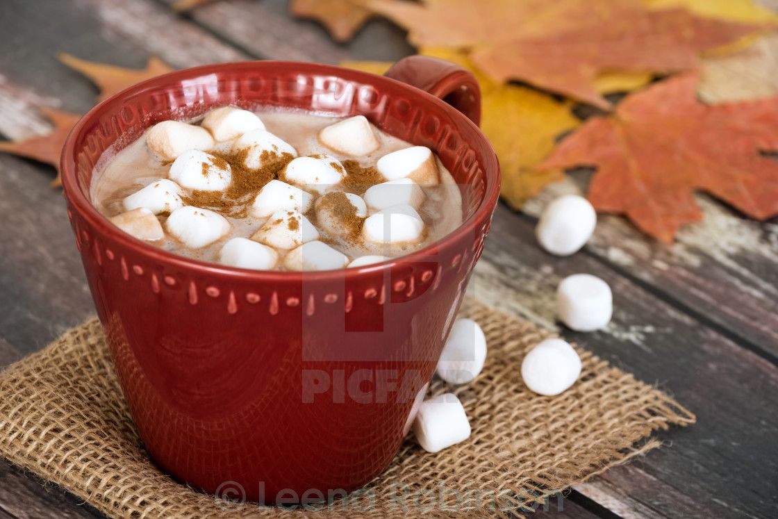 Hot Chocolate and Marshmallows with rustic autumn background, download or print for £9.92