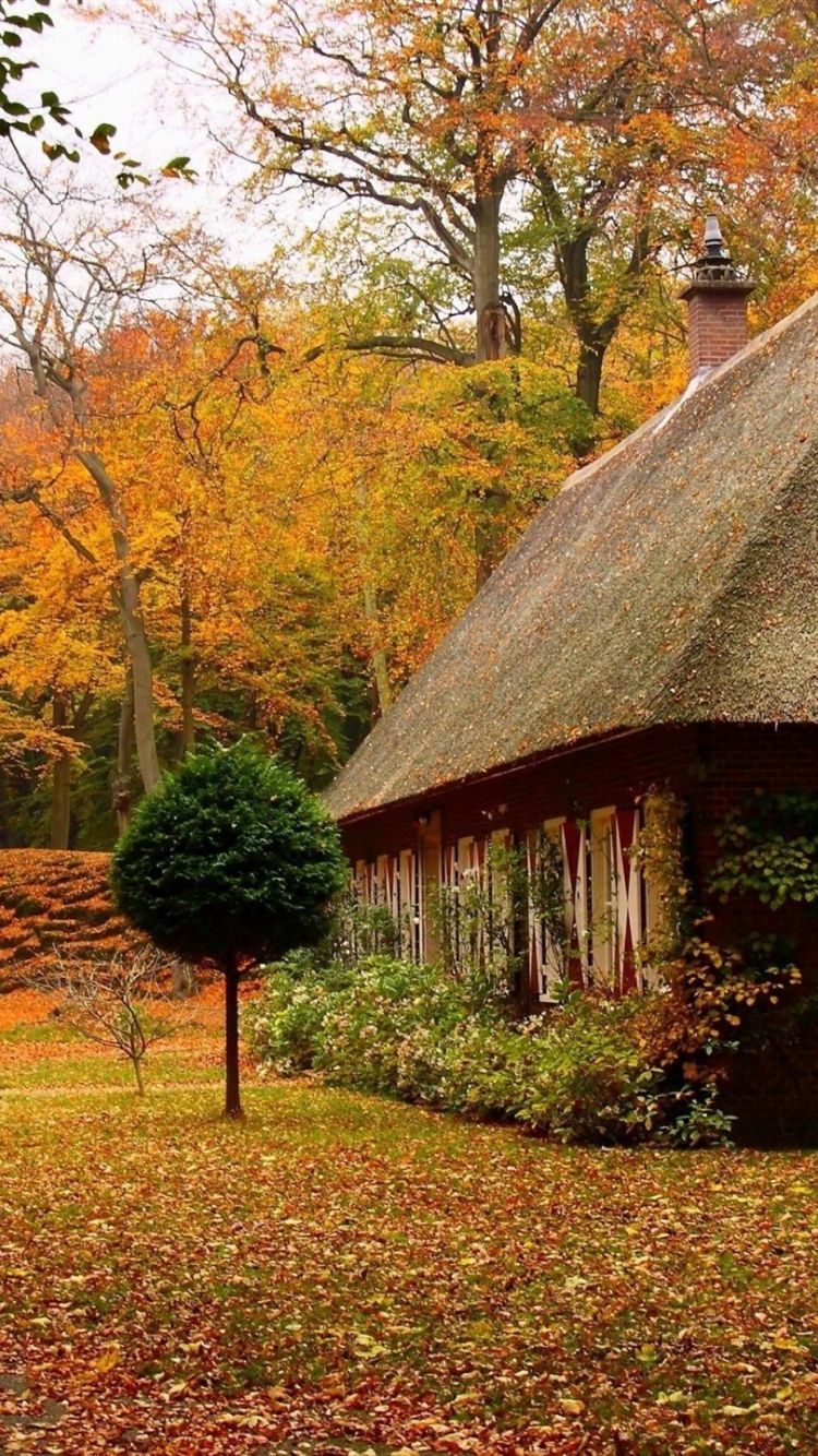 Free download cosy home autumn house Nature Wallpaper 1920x1440 wallpaper [1920x1440] for your Desktop, Mobile & Tablet. Explore Nature Home Wallpaper. Nature Wallpaper Home Decor