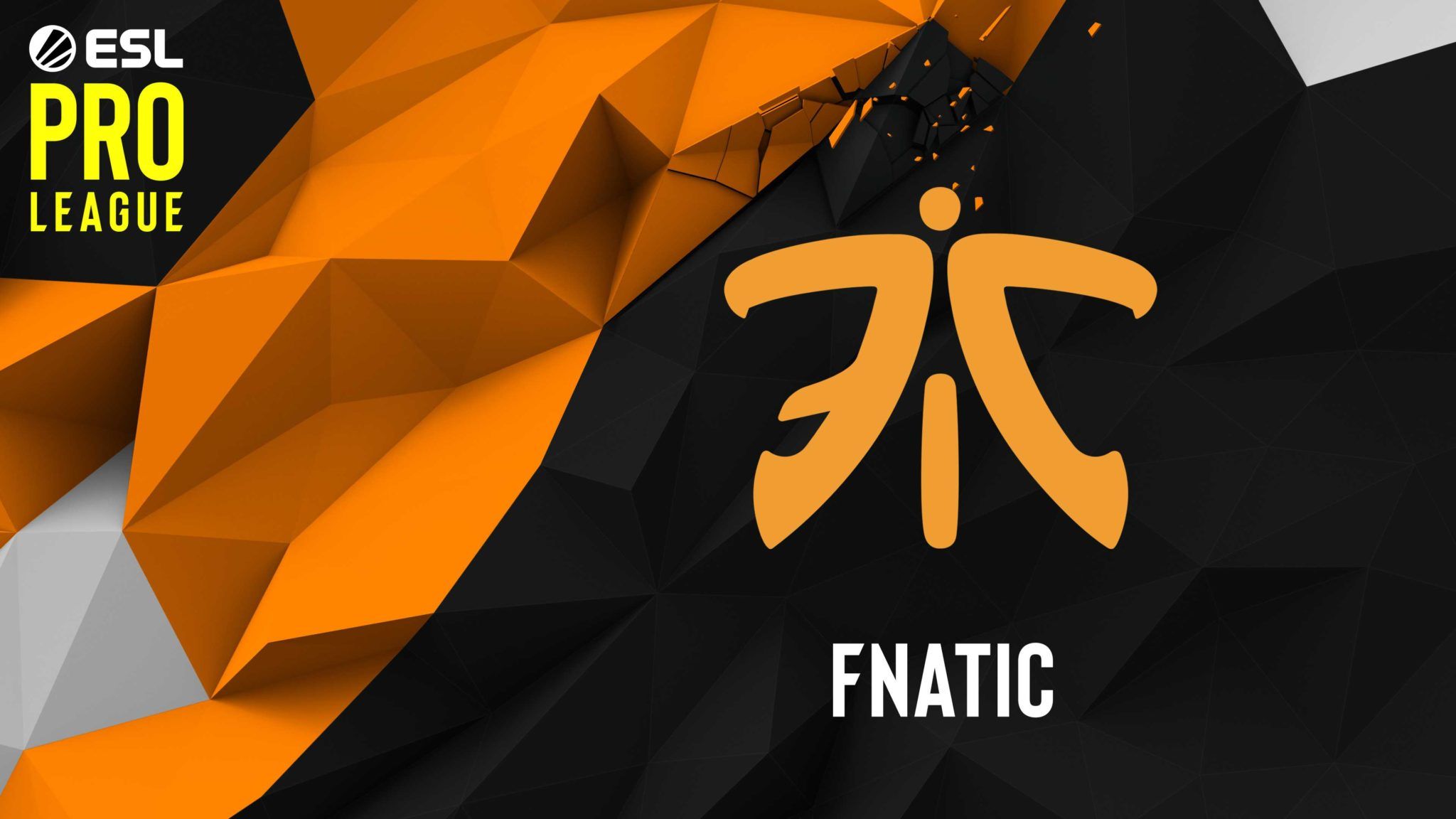 Free download Wallpaper ESL Proleague CSGO [2048x1152] for your Desktop, Mobile & Tablet. Explore Fnatic CS GO Wallpaper. Fnatic CS GO Wallpaper, CS Go Wallpaper, CS Go Wallpaper