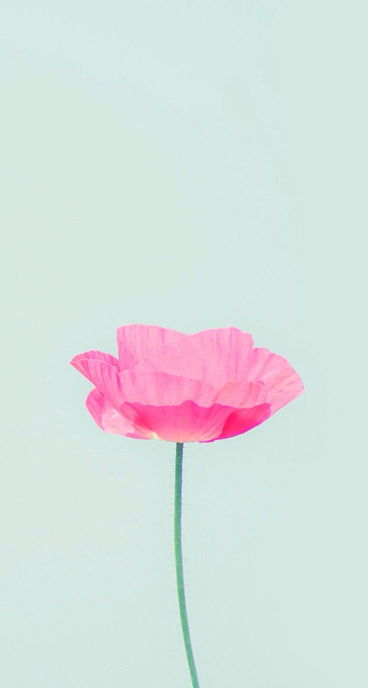 Cool Girly Wallpaper for iPhone