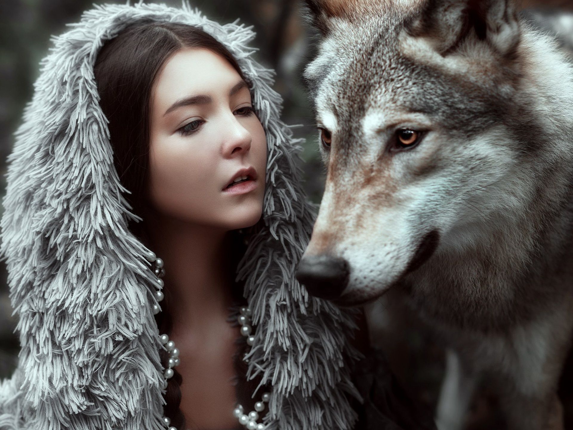 Wallpaper Girl and wolf 1920x1440 HD Picture, Image