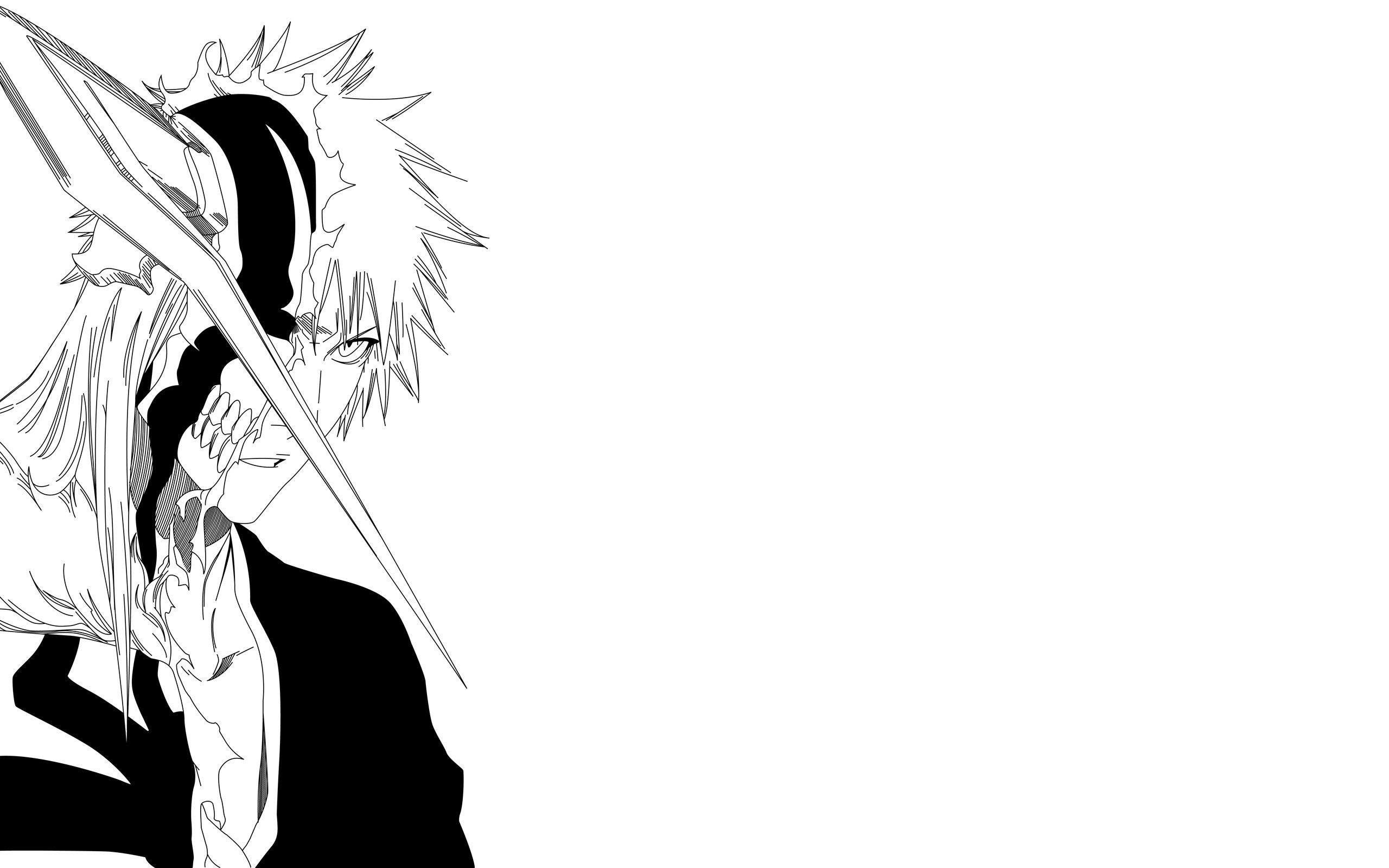 Kurosaki Ichigo, Bleach, Anime, Minimalism, Hollow Wallpaper HD / Desktop and Mobile Background