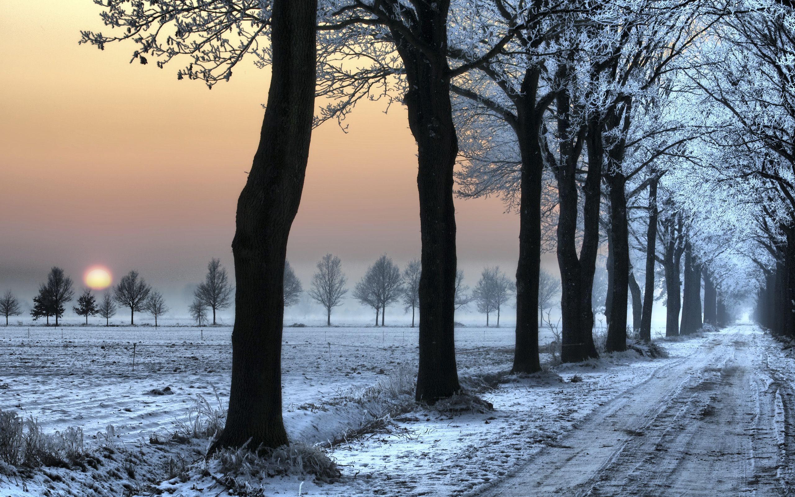 Korea in Winter Desktop Wallpaper Free Korea in Winter Desktop Background