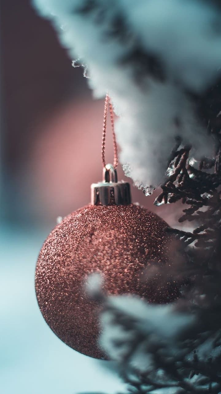love #xmastree #reunion #winter #cold #family #christmas #jinglebells #gifts #pr. Cute christmas wallpaper, Christmas phone wallpaper, Wallpaper iphone christmas