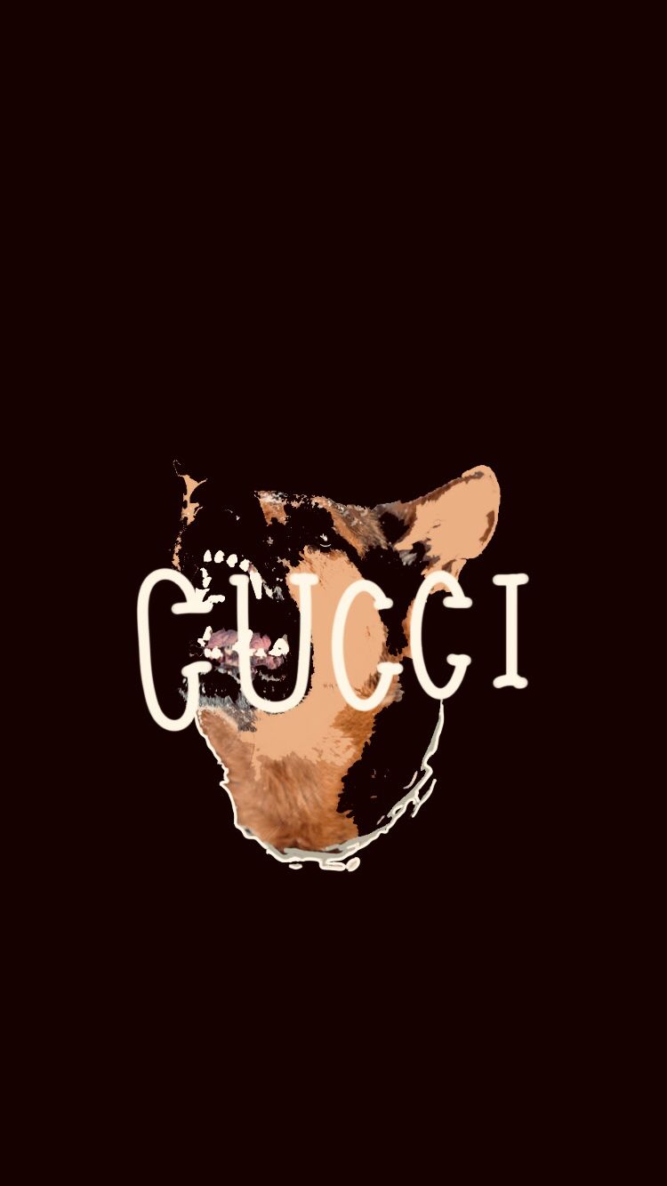 Gucci Dog Wallpapers - Wallpaper Cave