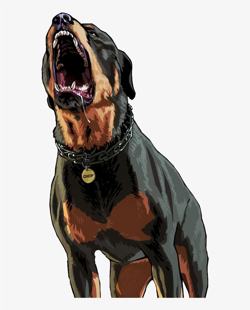 Dog Wallpaper For iPhone 6 Transparent