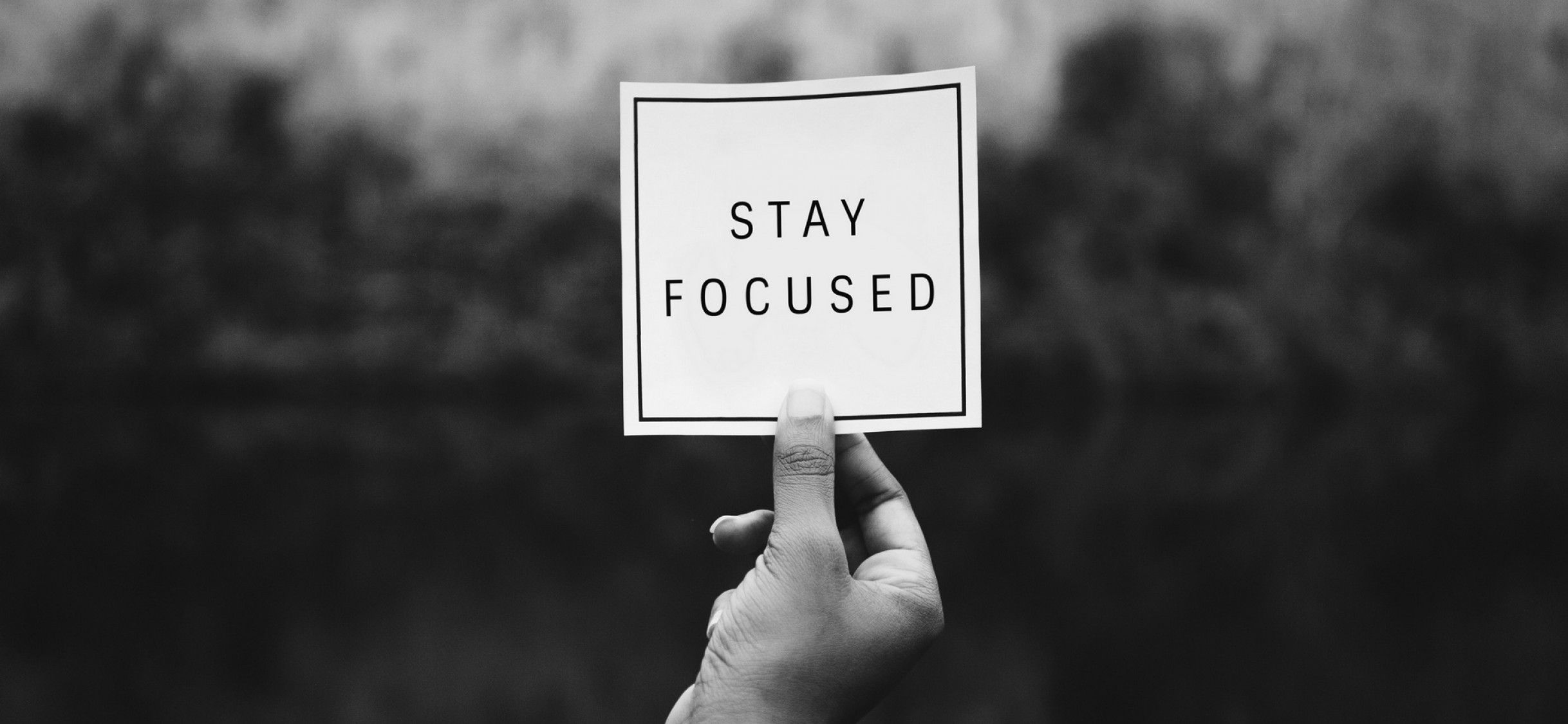 Stay focused HD Wallpaper iPhone X