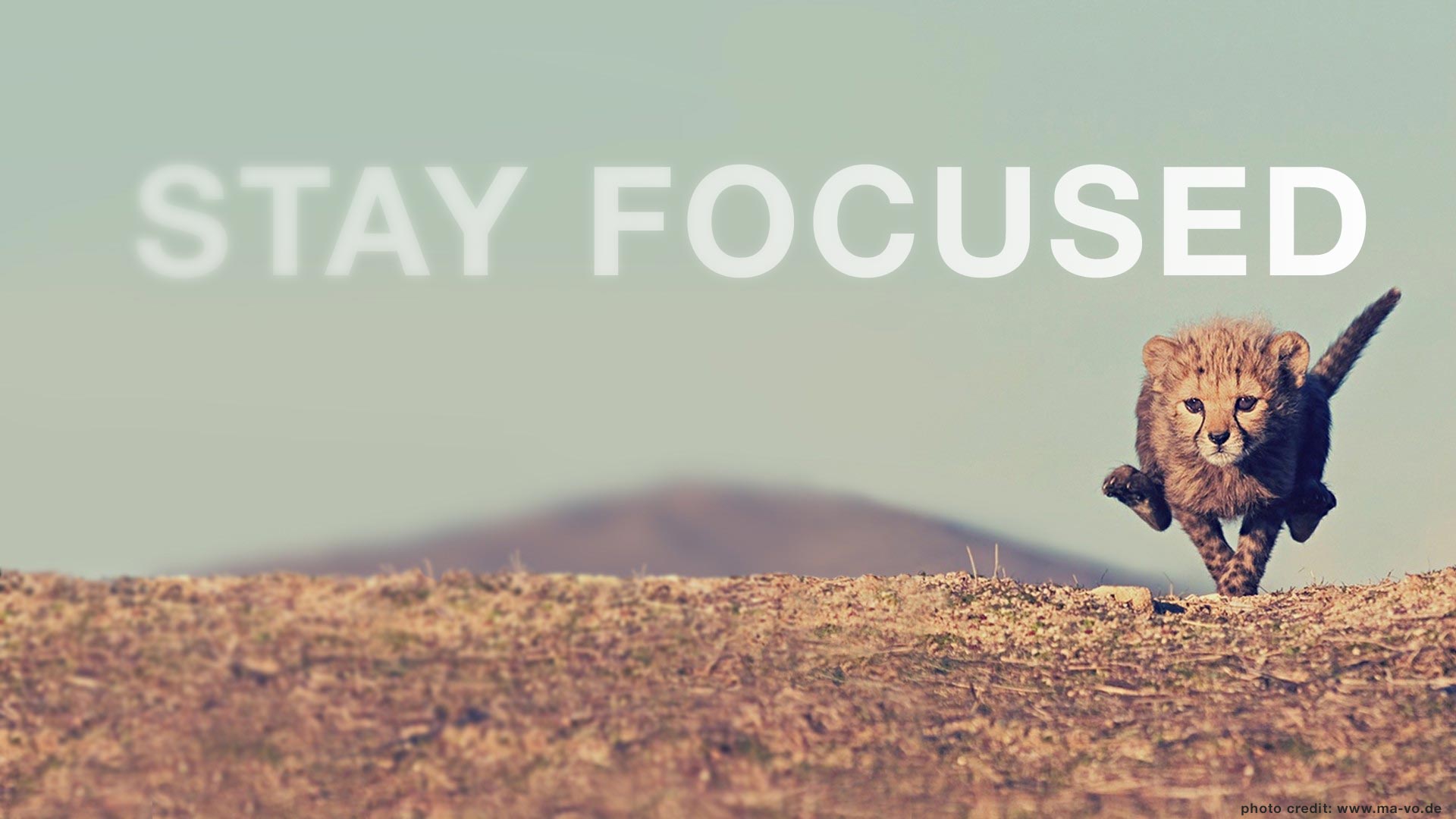 Stay Focused Wallpapers - Wallpaper Cave