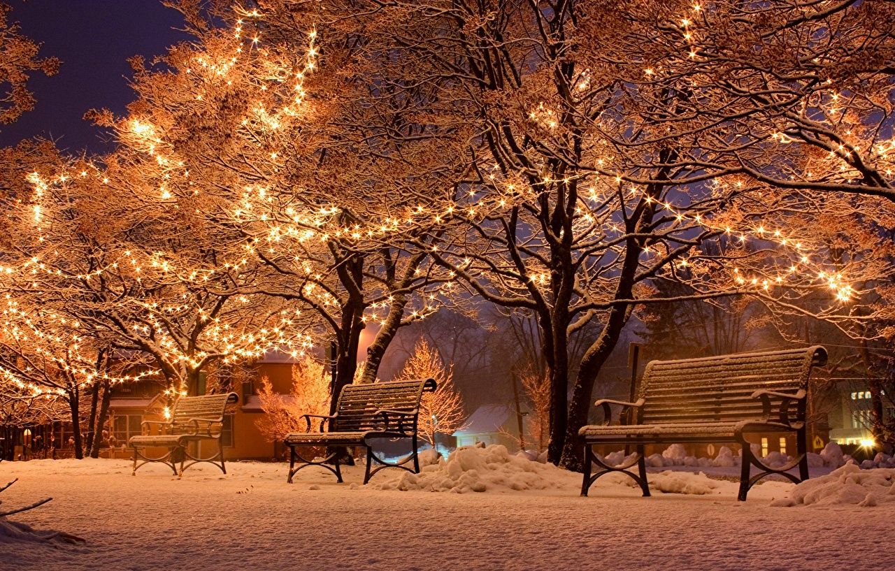 Picture Christmas Nature Winter Snow park Bench Night Fairy lights
