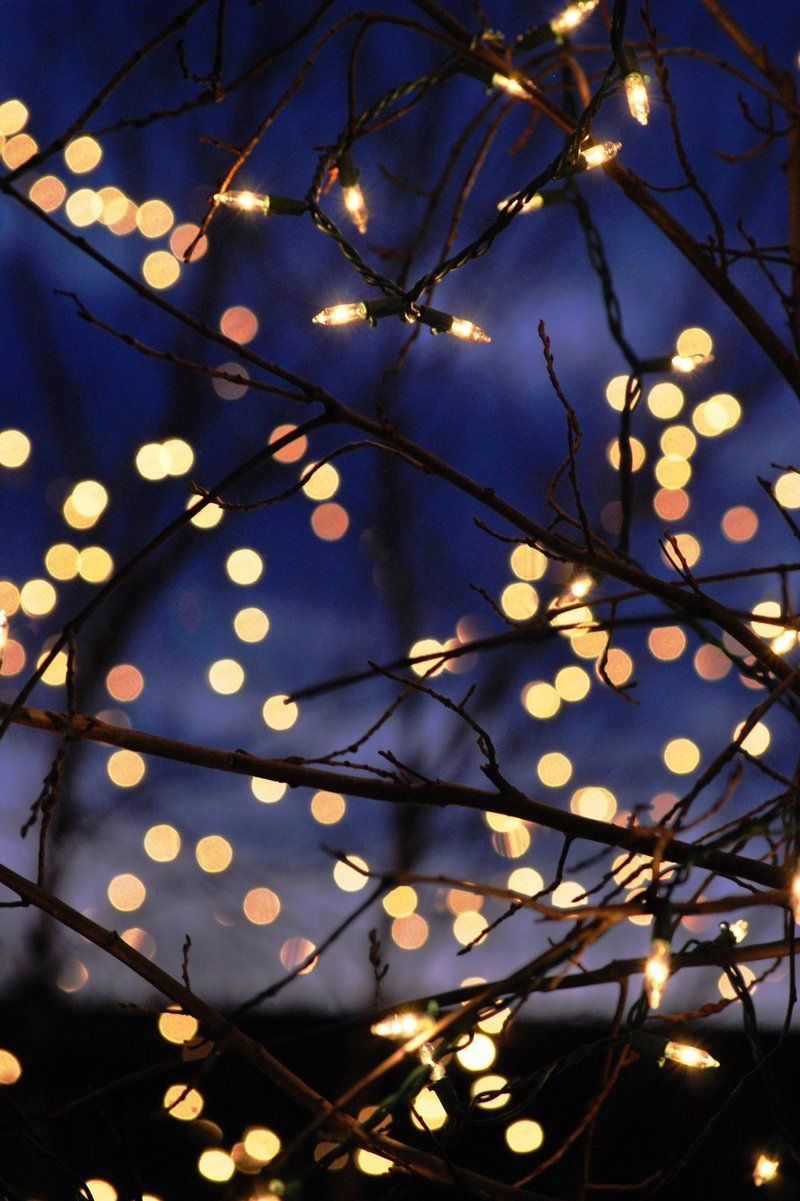 Winter Lights Christmas Lights Dark Lamps String Of Lights Wallpaper & Background Download