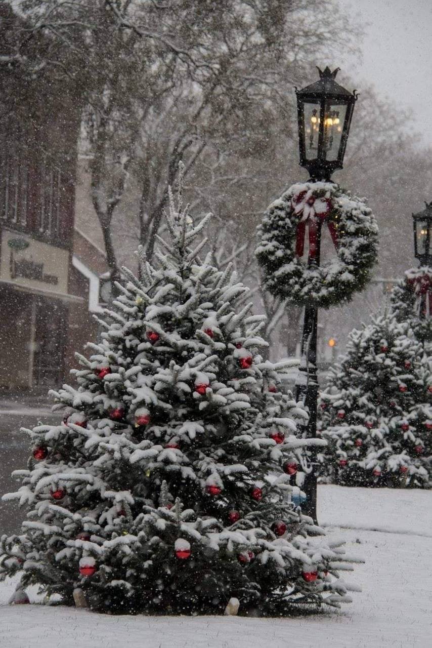 Snowy Christmas Tree wallpaper