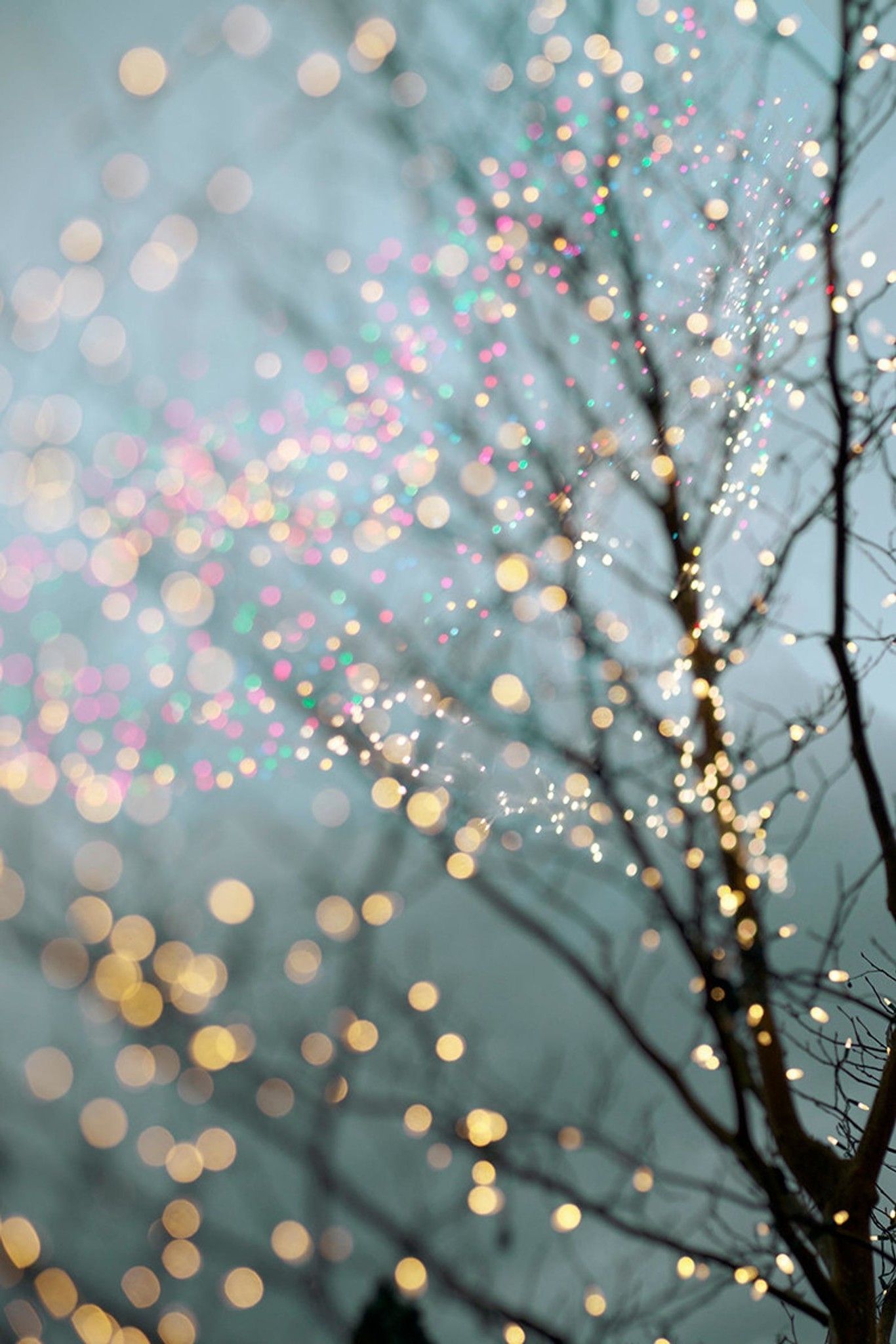 Holiday Fairy Lights In Tree In Winter Fairy Lights Background