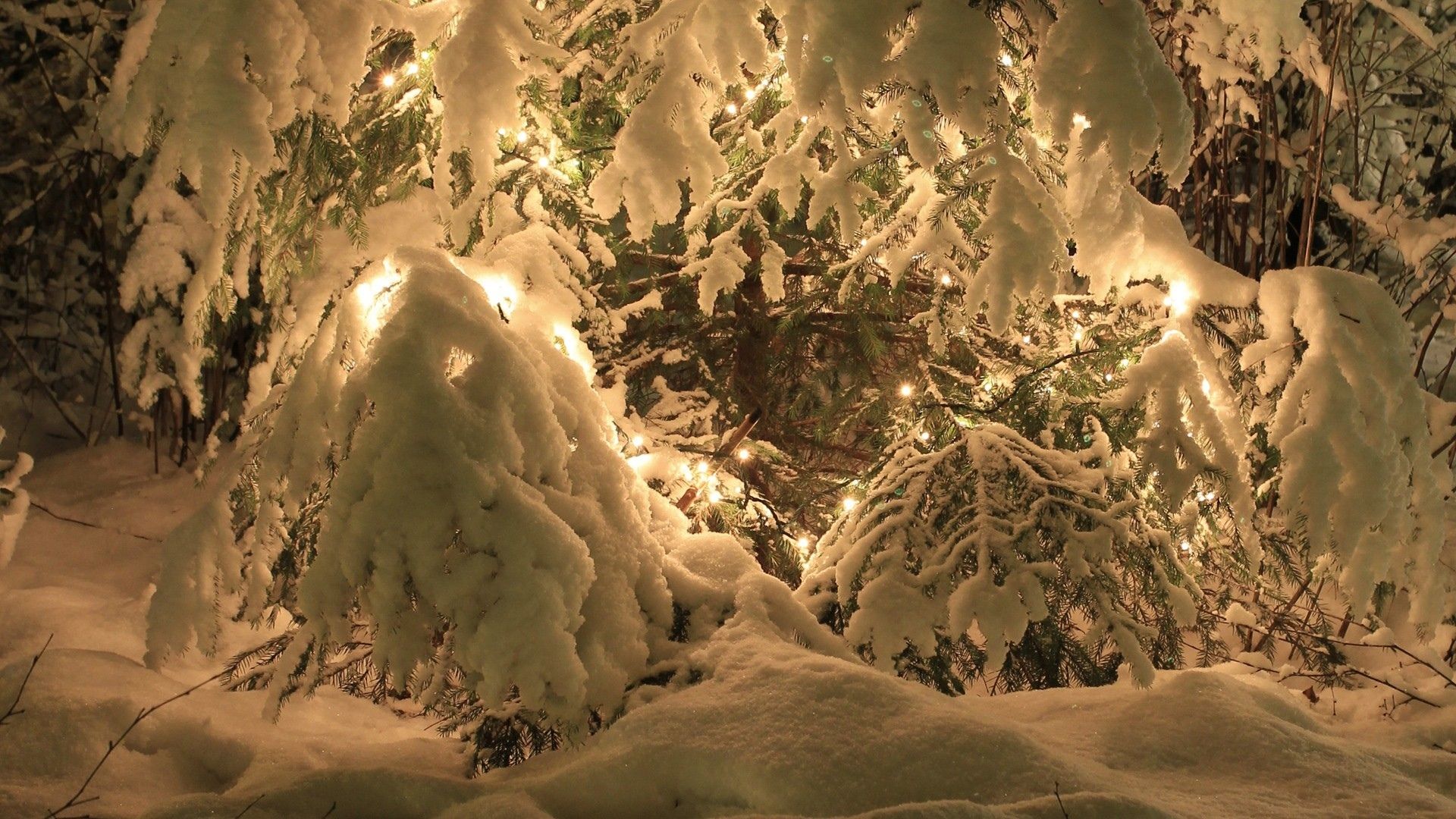 Snow Desktop Wallpaper Christmas Lights