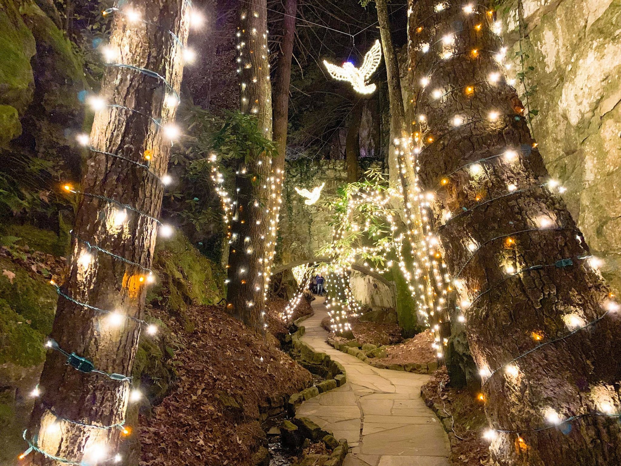 Best Holiday Lights and Tree Displays Near Atlanta