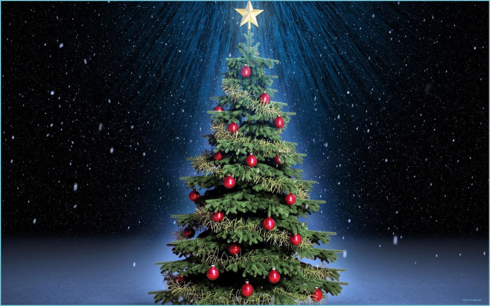 Cute Christmas Tree Wallpaper Free Cute Christmas Tree tree background