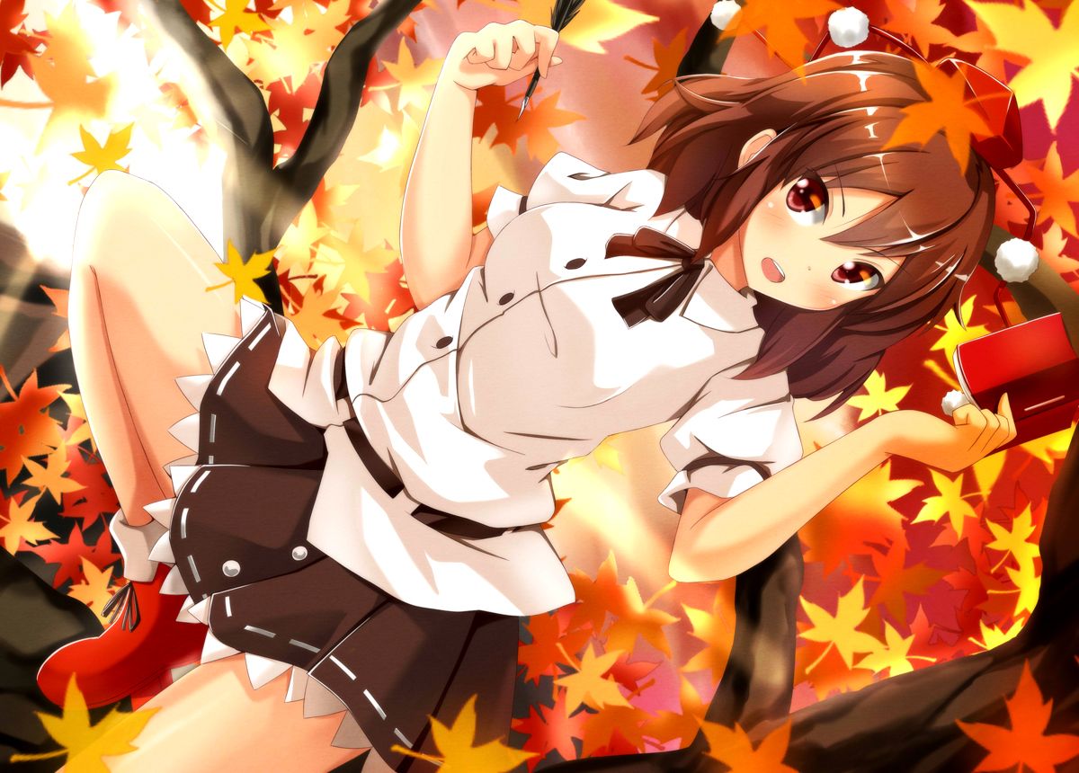 Autumn Brown Hair Leaves Ok Ray Shameimaru Aya Touhou Tree. Konachan.com.com Anime Wallpaper
