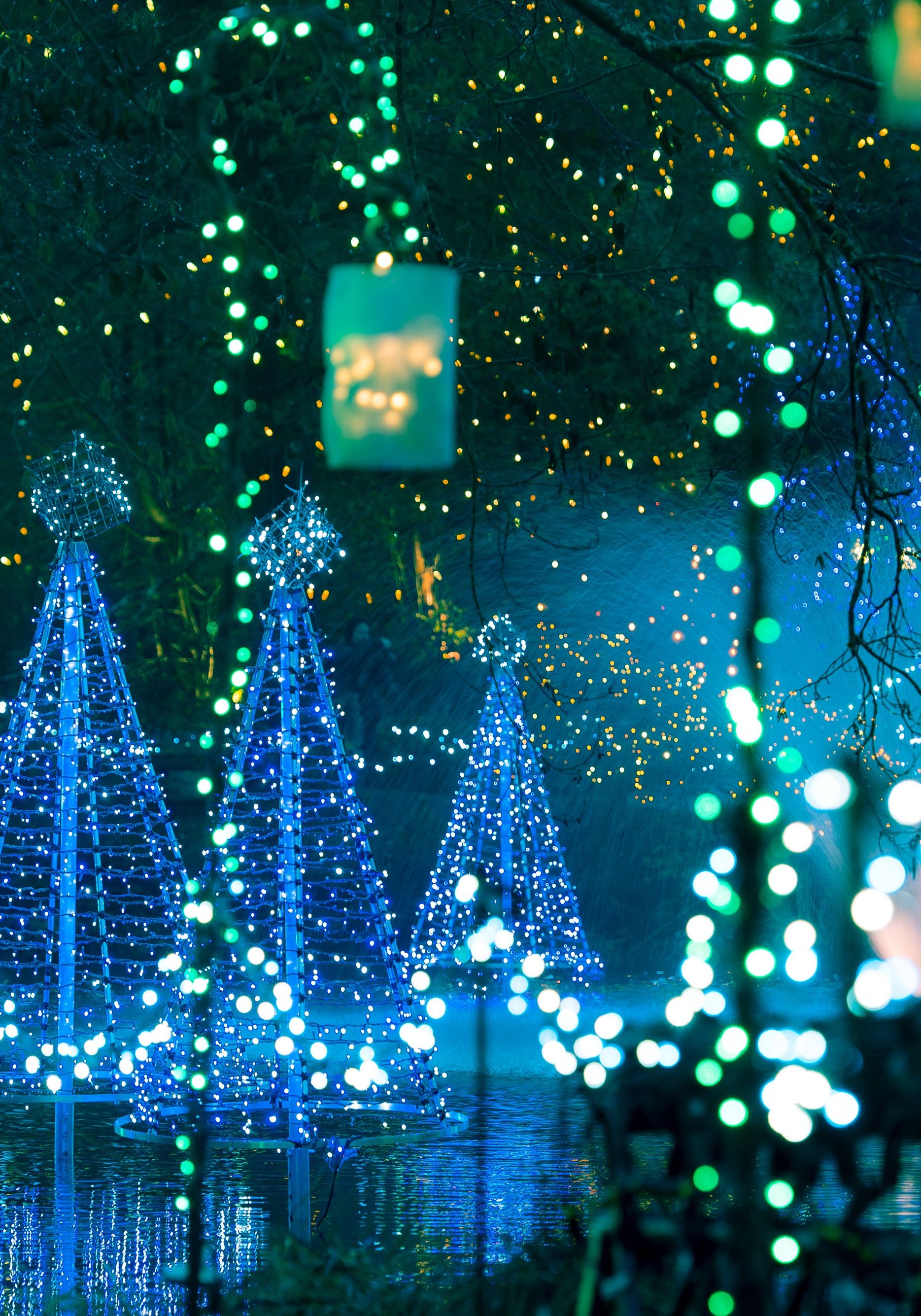 Where to See the World's Best Christmas Lights. Condé Nast Traveler