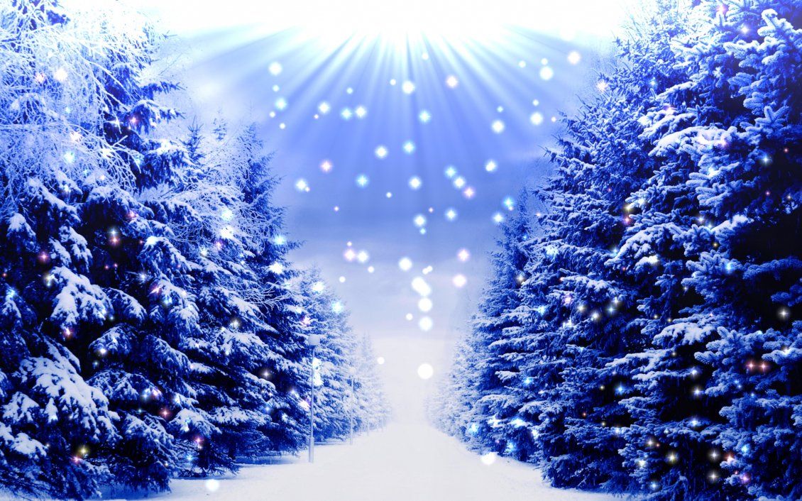 Blue christmas trees full with white snow